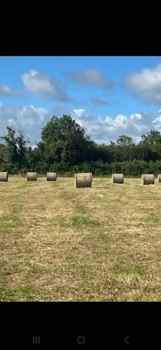 Hay - Image 2