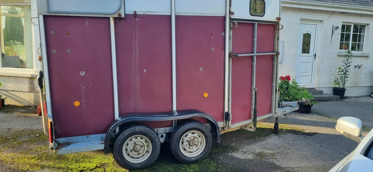 Ifor Williams HB11 Horsebox - Image 2