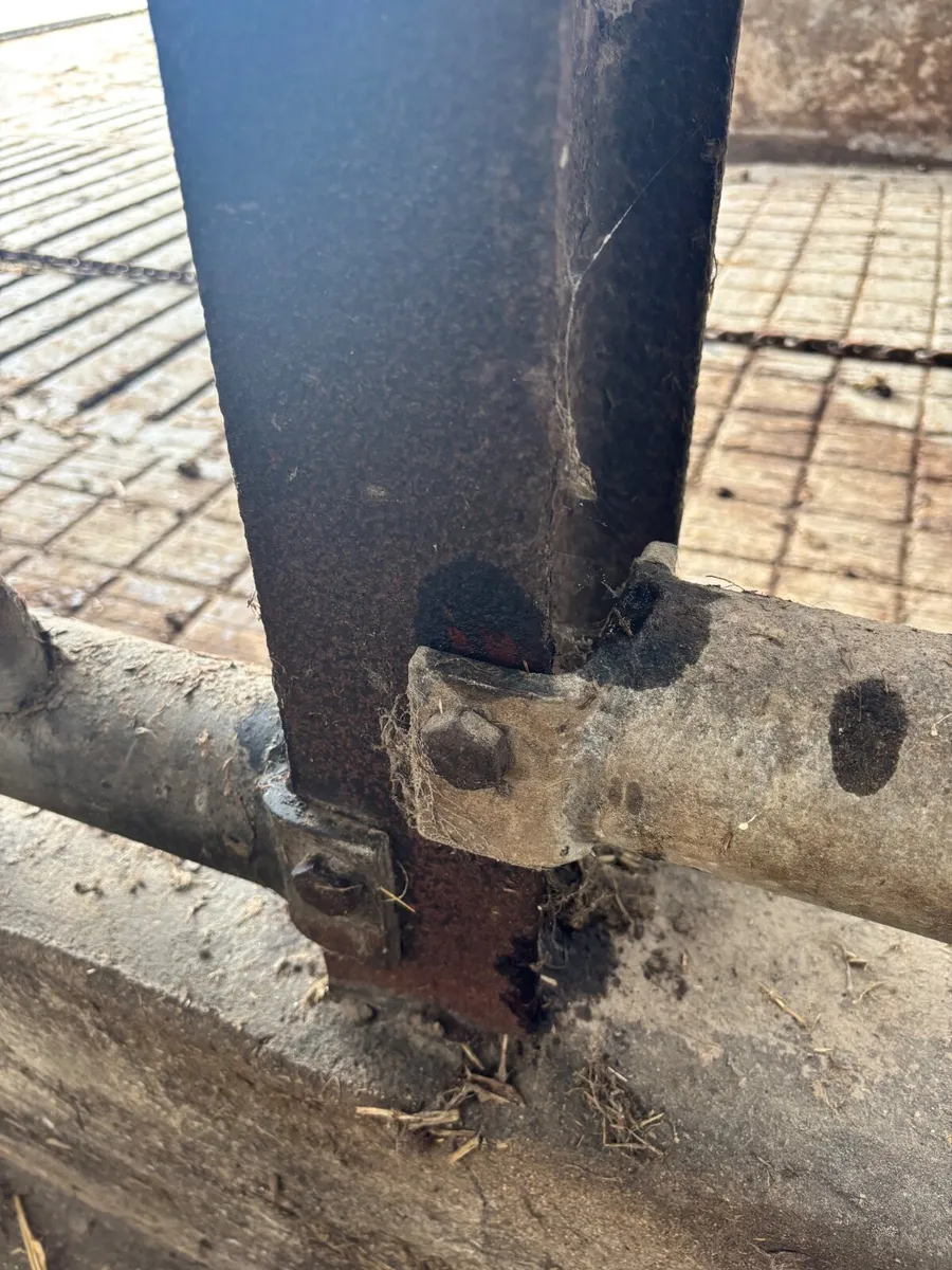 Cattle feed barriers X3 - Image 3