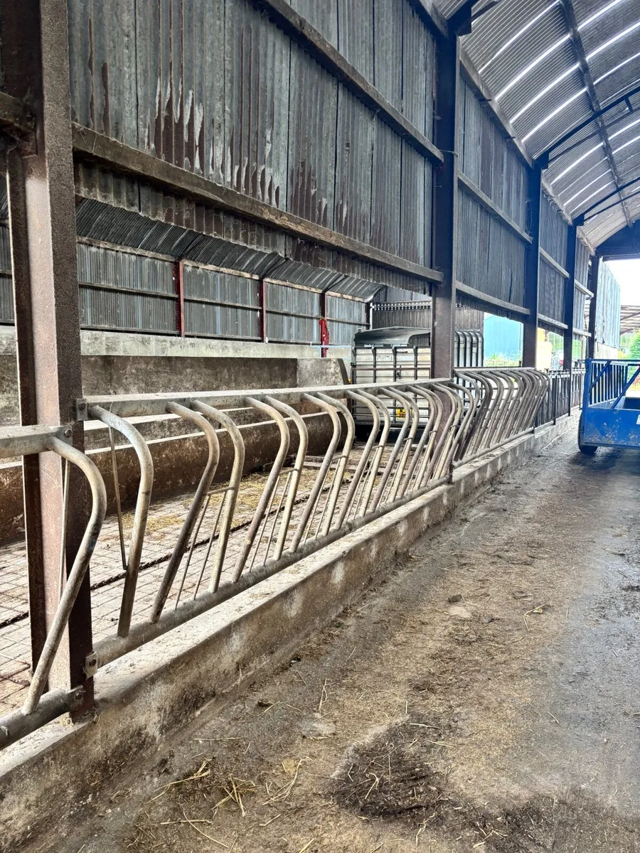 Cattle feed barriers X3 - Image 1