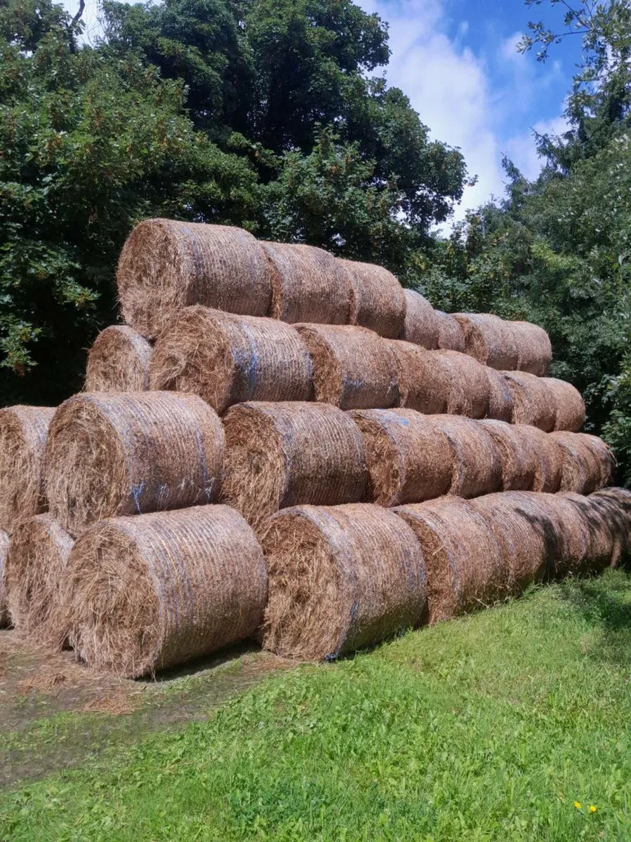 Bales of Rushes