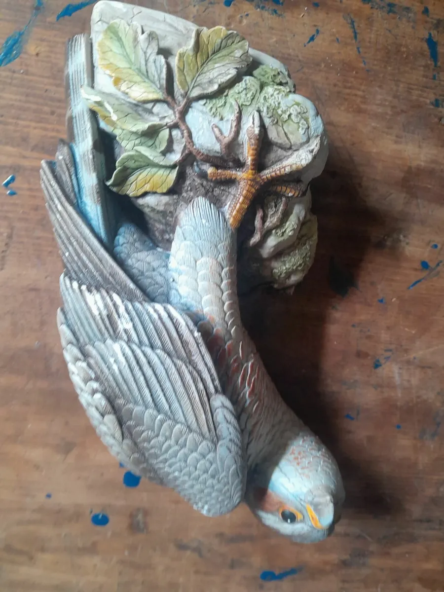Plaster sparrow hawk - Image 2