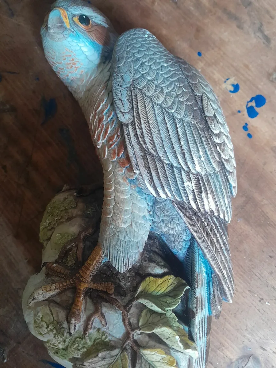 Plaster sparrow hawk - Image 1