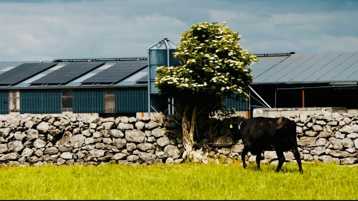 Assistant Farm Manager Wanted