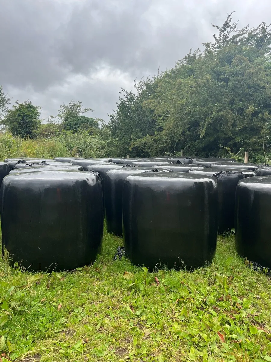 Haylage for sale - Image 3