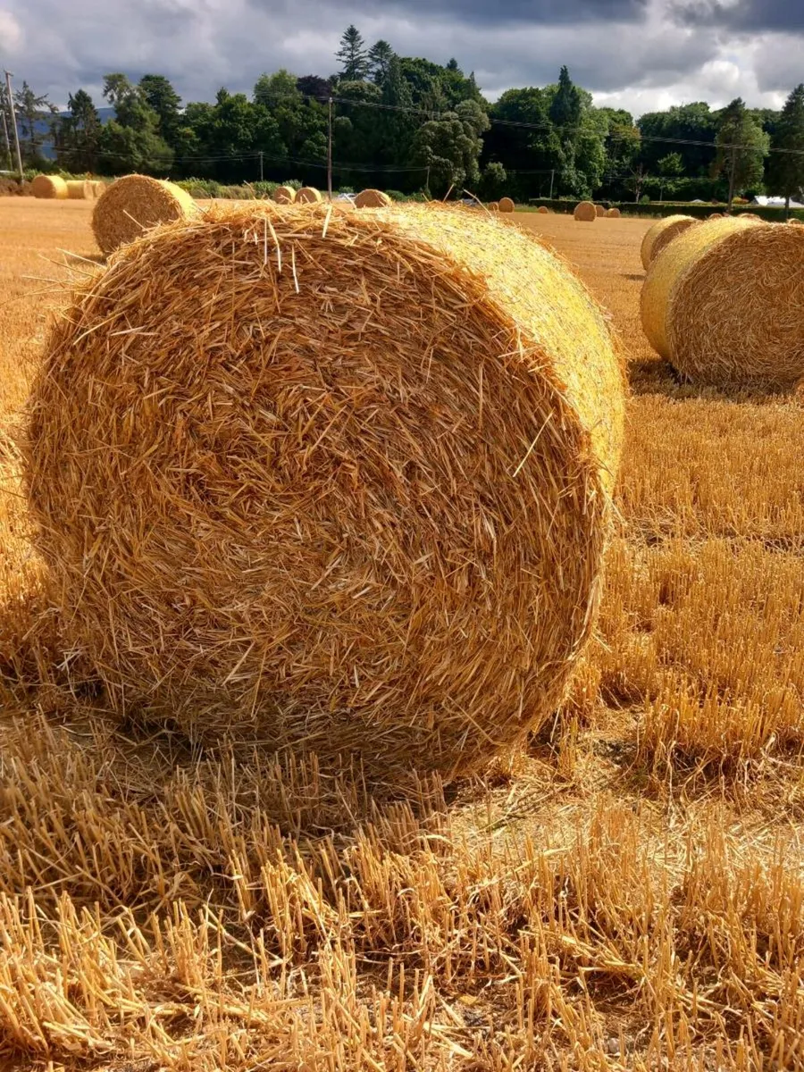 4x4 straw - Image 1
