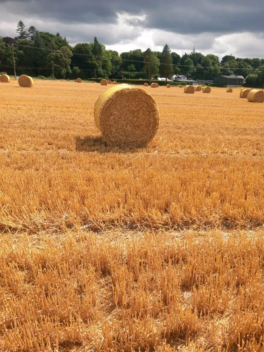 4x4 straw - Image 3