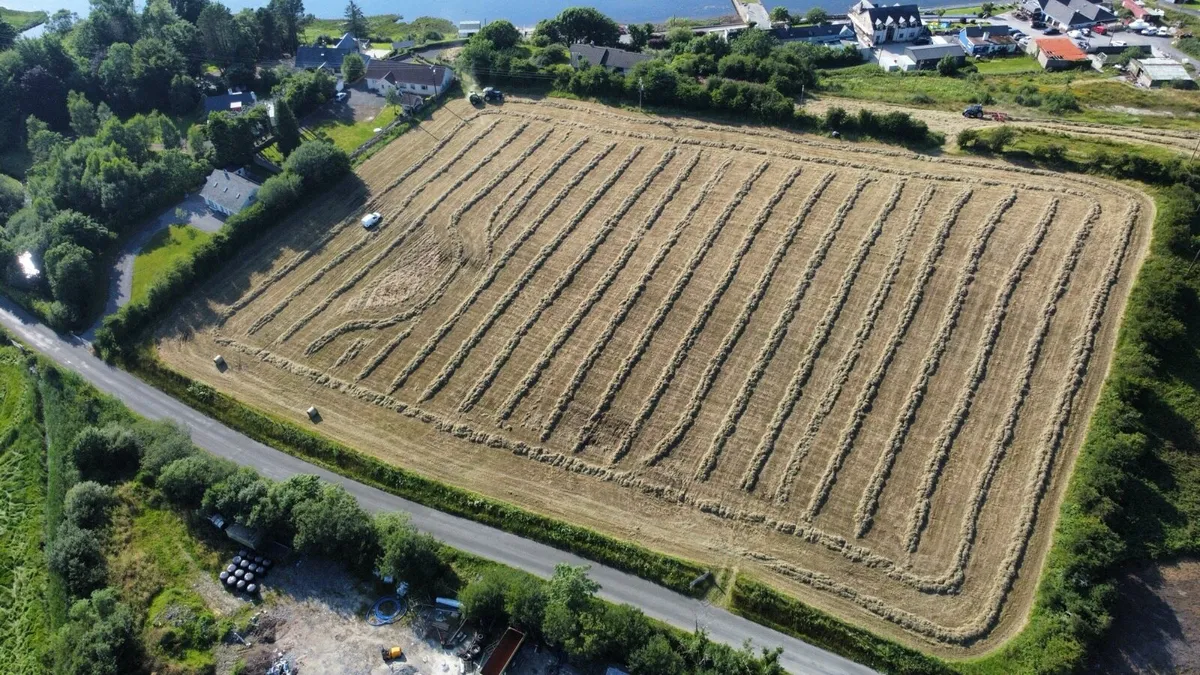 Hay for Sale - Donegal - Image 2
