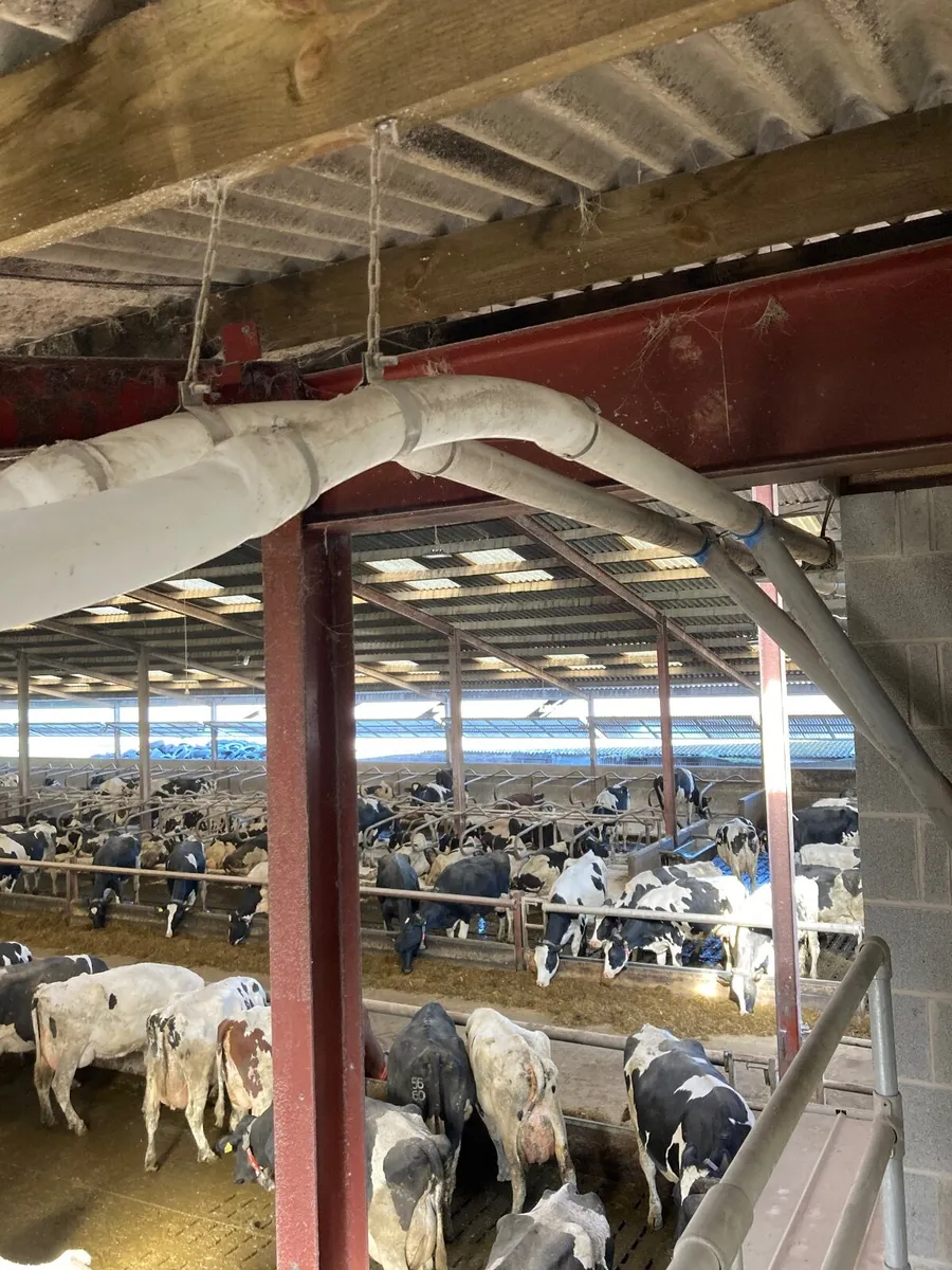 Feed systems - Image 2