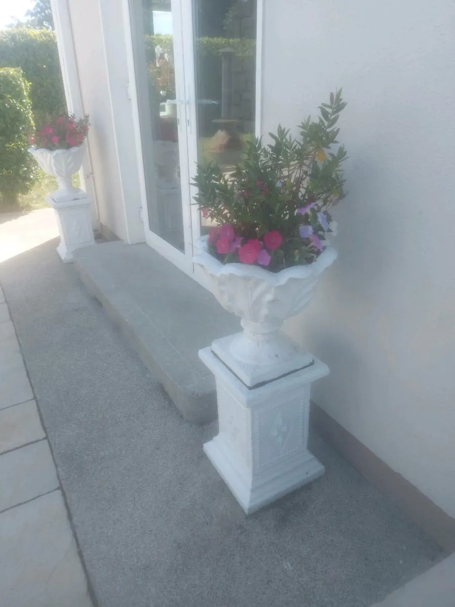 Concrete flower pots - Image 2