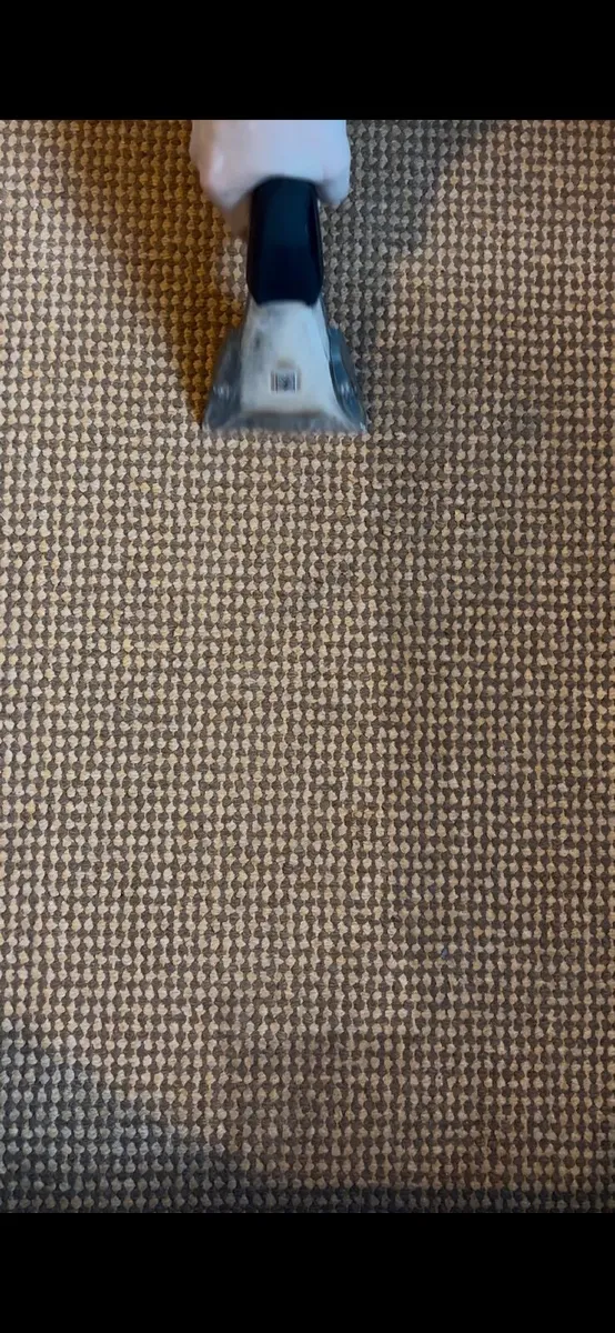 Deep Cleaning carpets, furniture, cars - Image 2