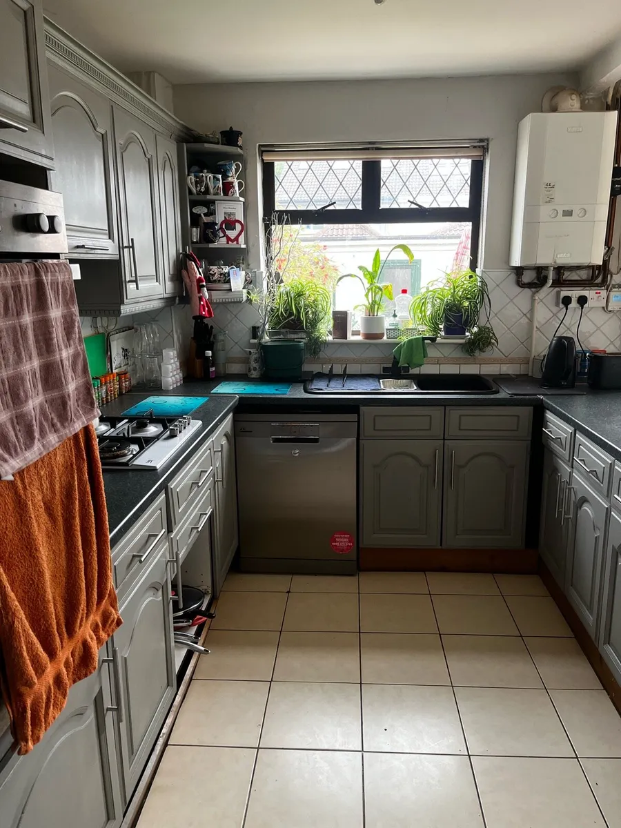 2 beds available in 4 bed large quad. bedroom - Image 3