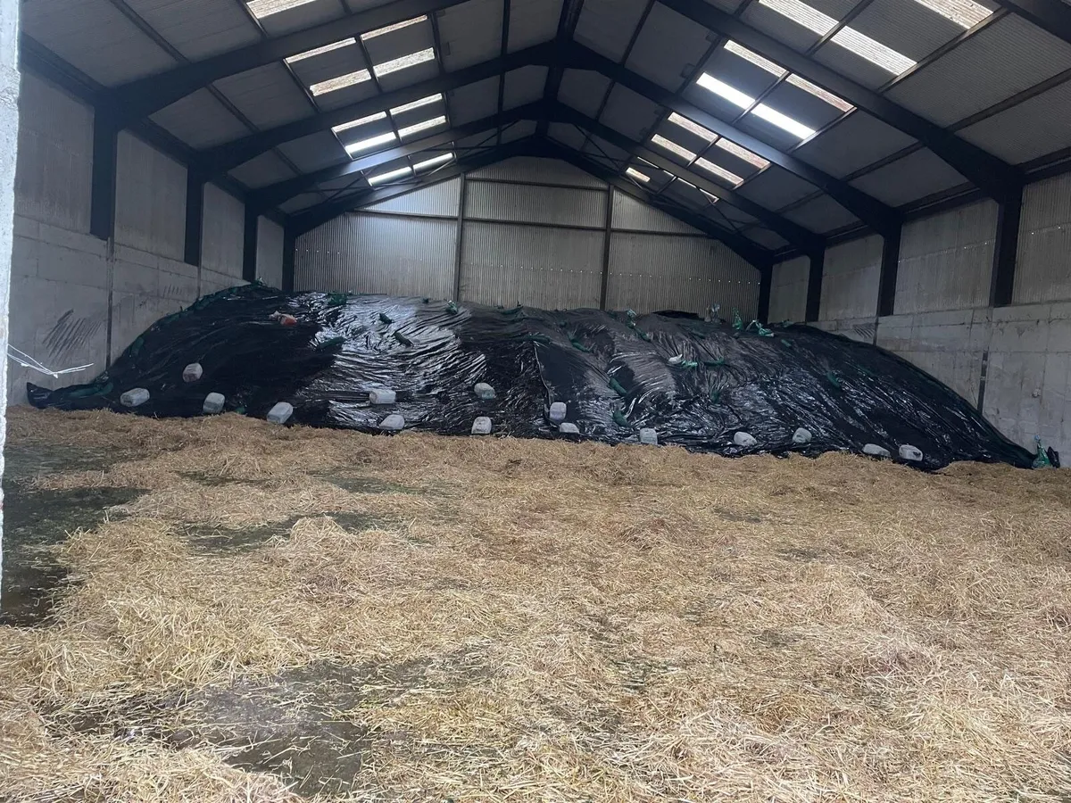 Silage - Image 1