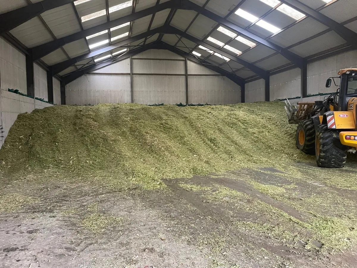 Silage - Image 2