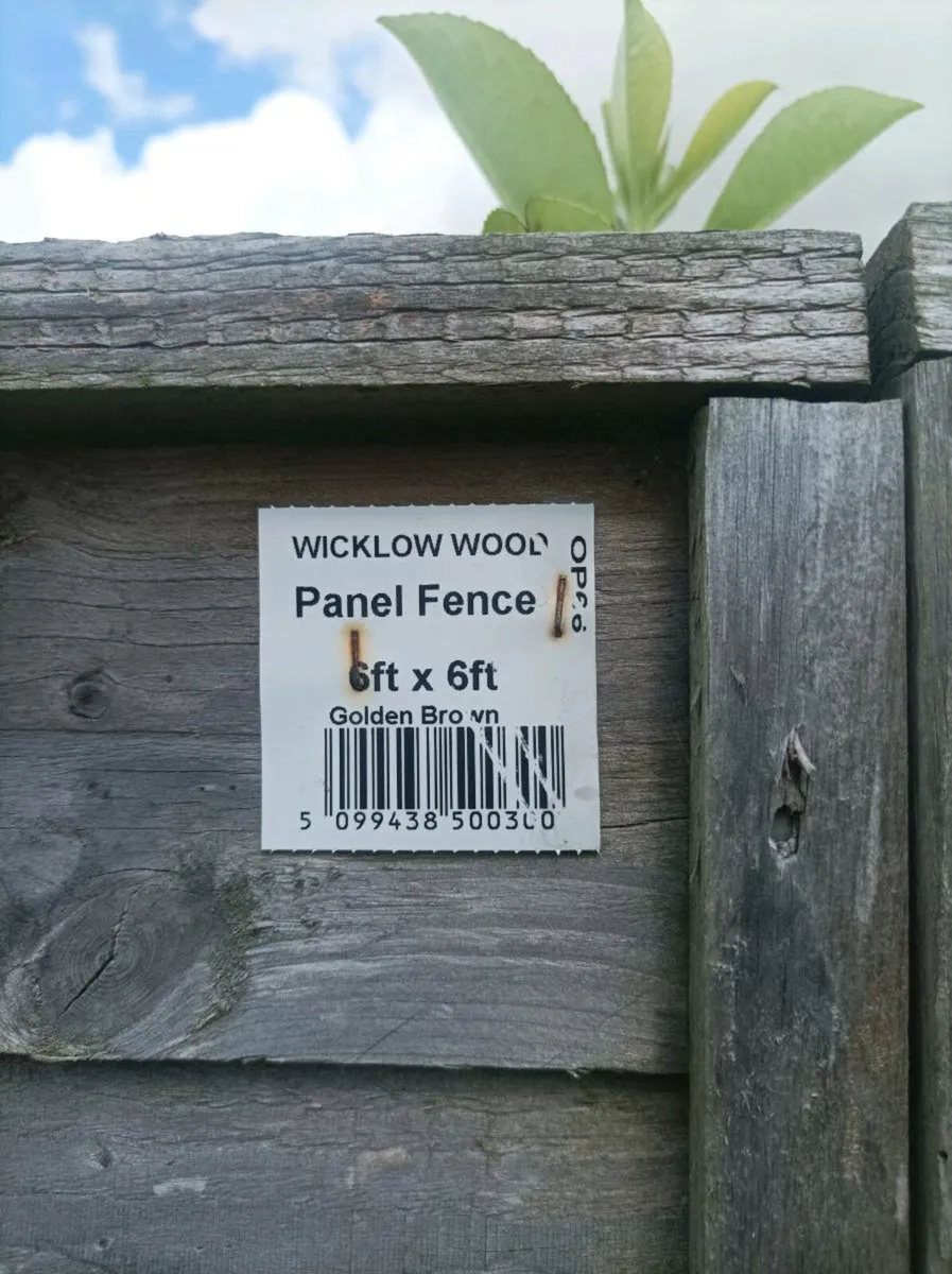 Fence panels - Image 1