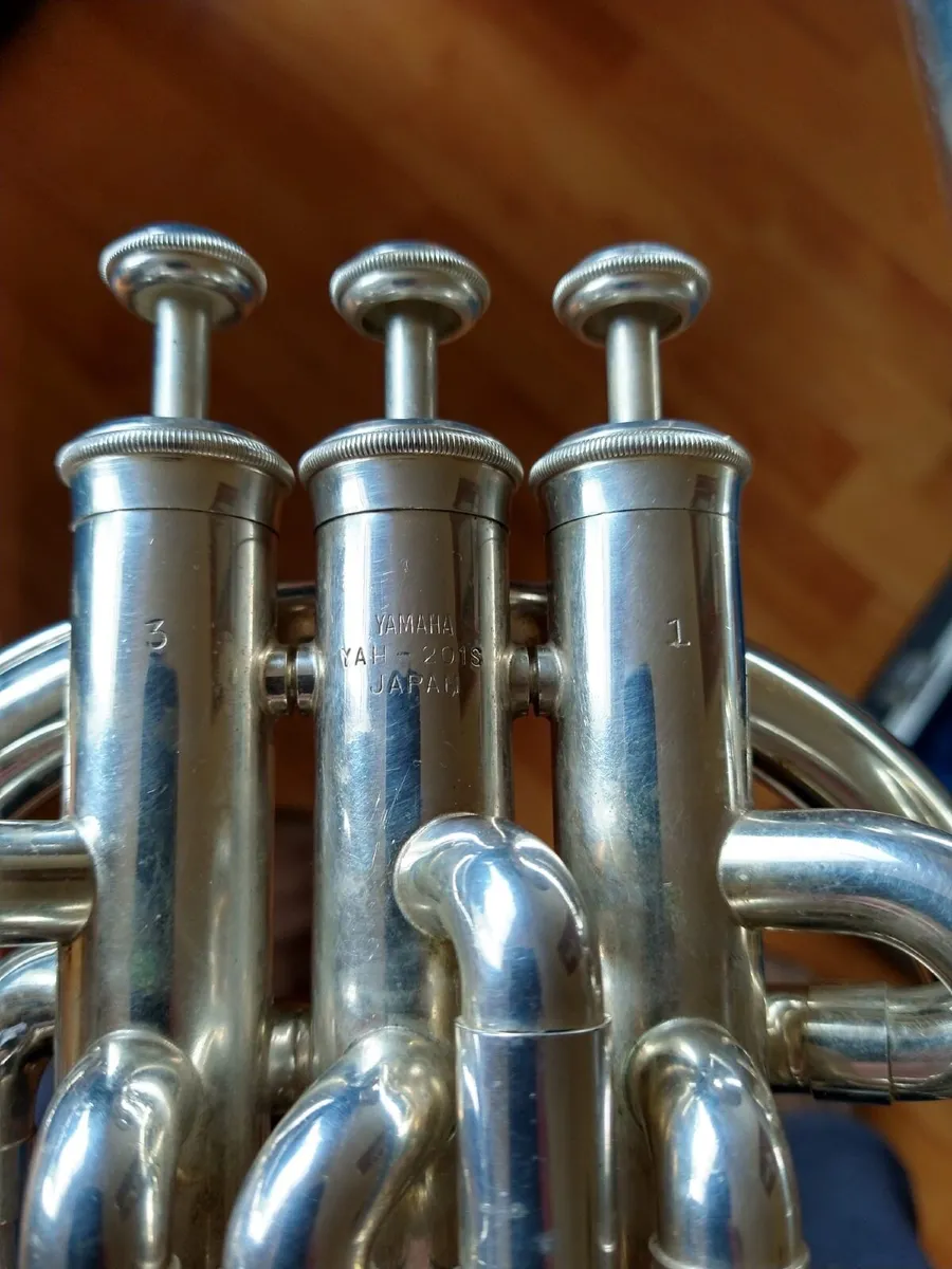 Yamaha tenor horn €500 ono - Image 2