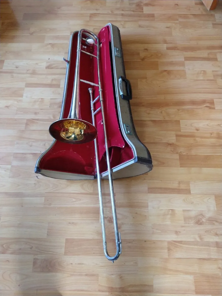 Trombone Parrot €50 ono - Image 2
