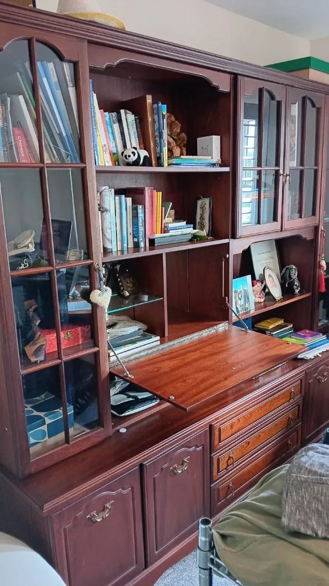 Cabinet large - a huge amount of space - Image 1