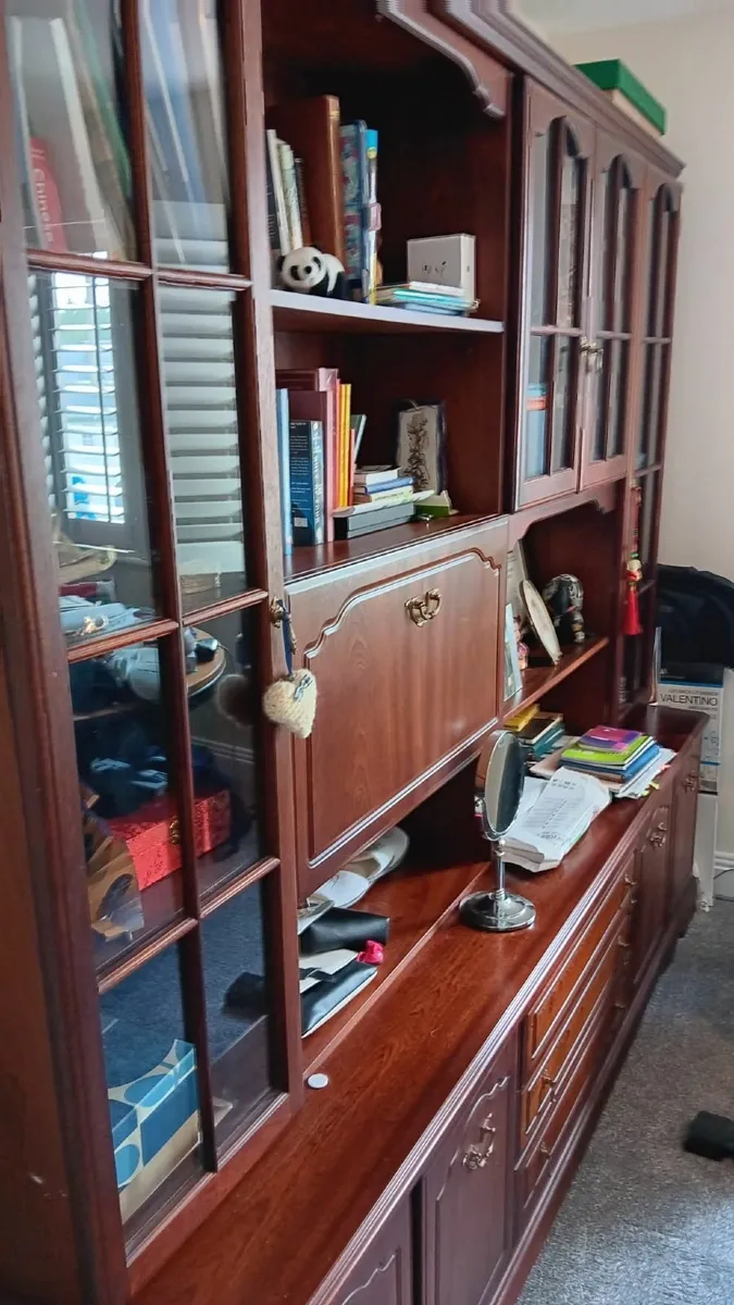 Cabinet large - a huge amount of space - Image 2