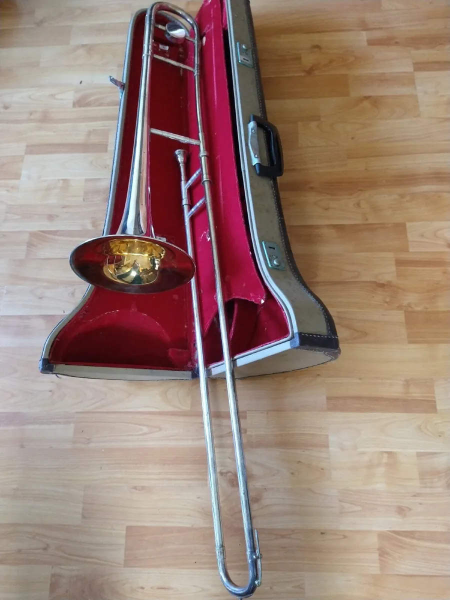 Trombone Parrot €50 ono - Image 1