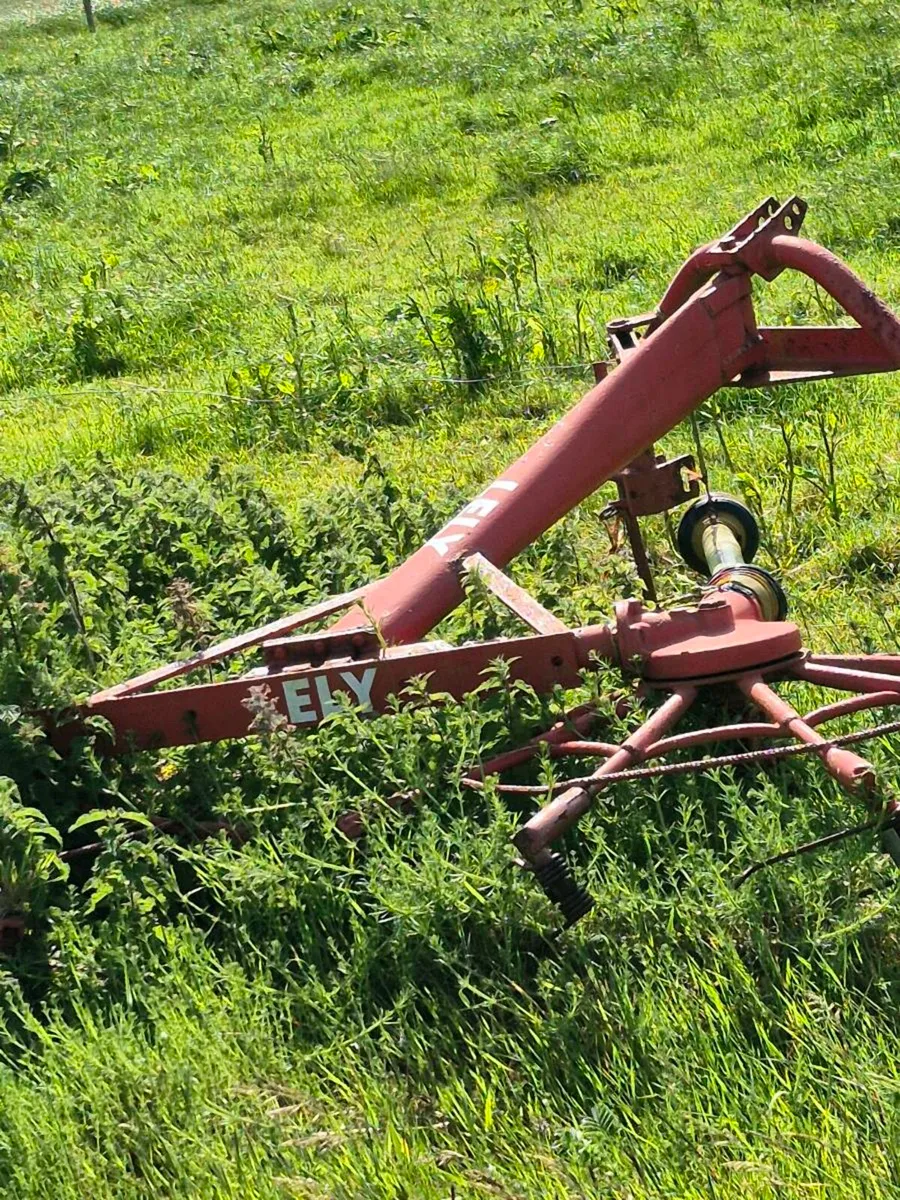 LELY GEMINI HAY+ GRASS TEDDER VERY GOOD CONDITION. - Image 2