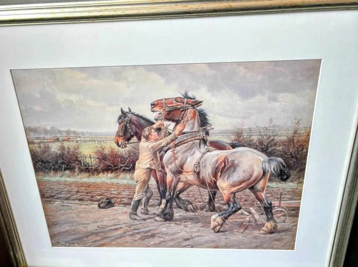 Horse Picture