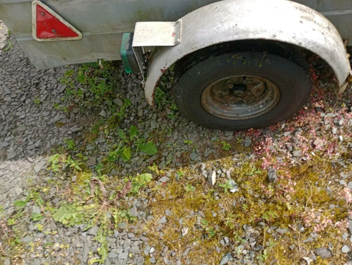 Car Trailer - Image 4