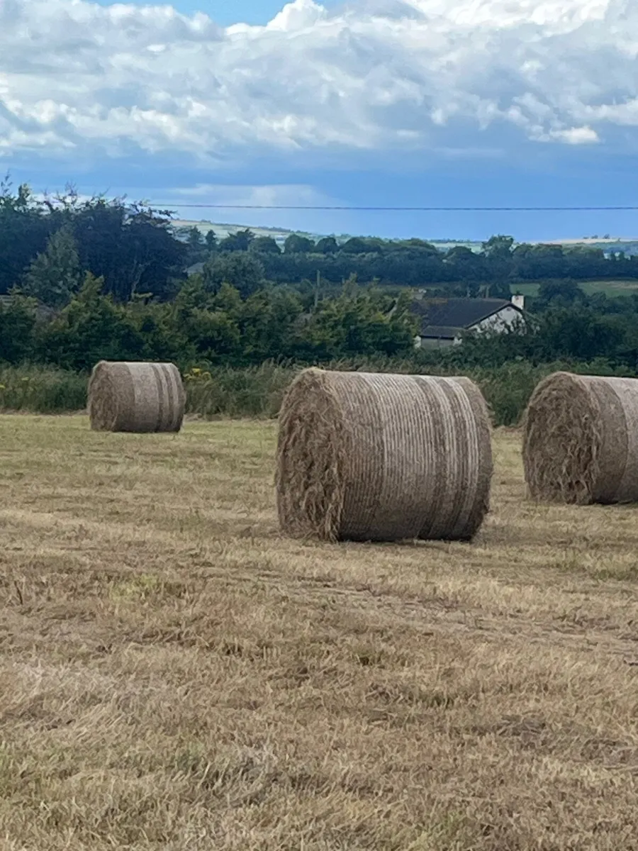 Bales of Hay - Image 1