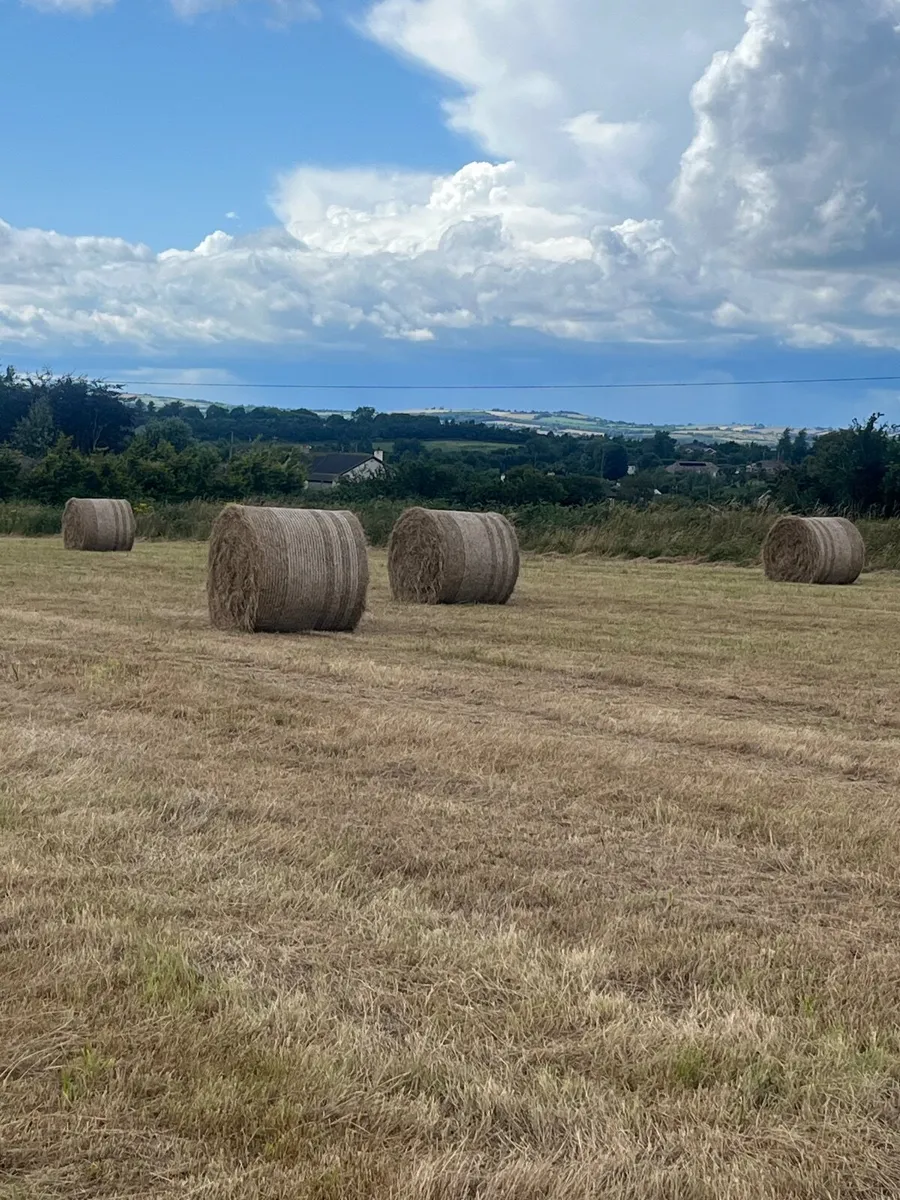 Bales of Hay - Image 2