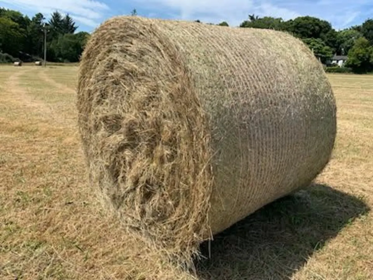 Hay bales - Image 2