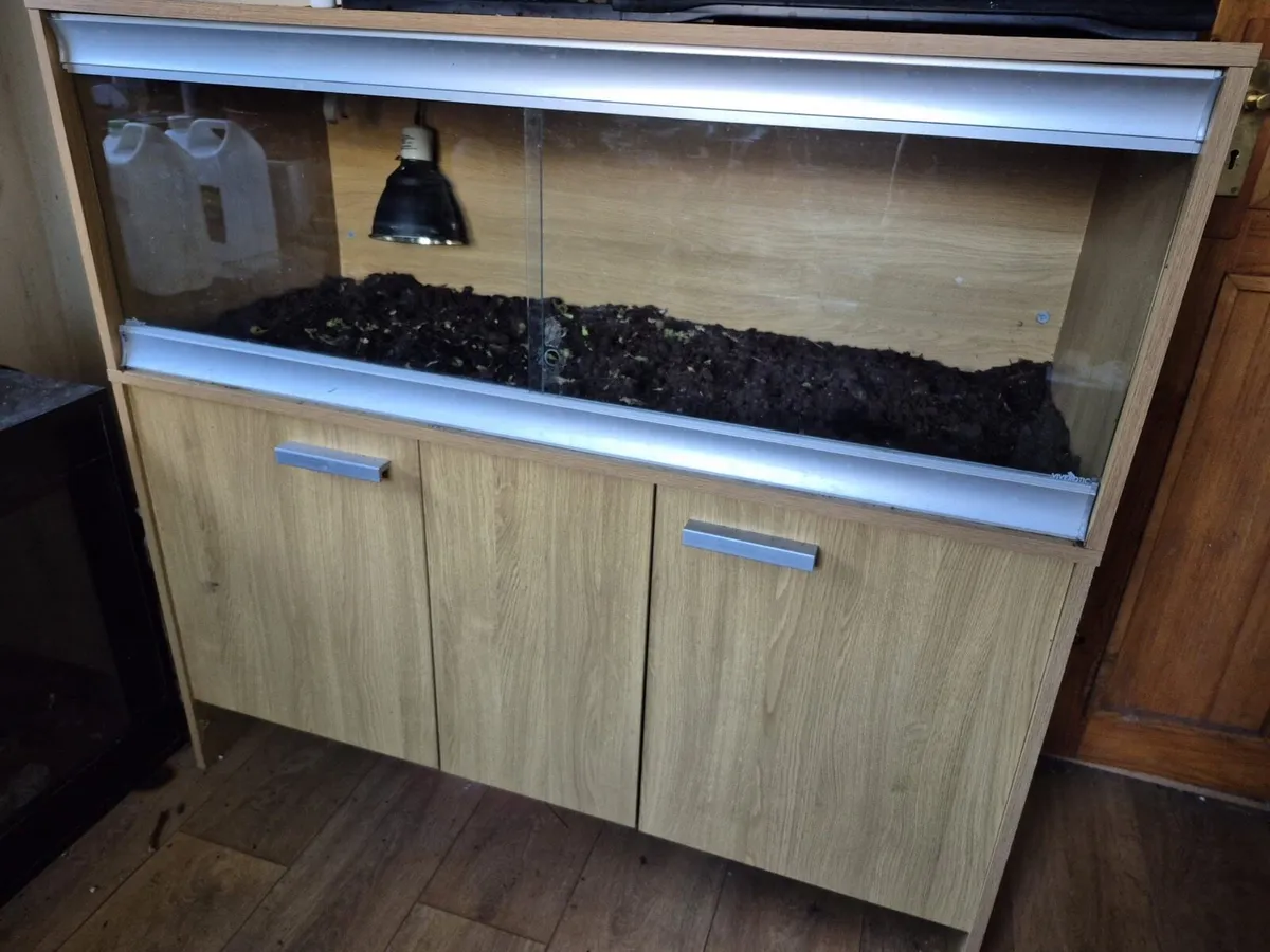 Reptile Vivarium - Image 1