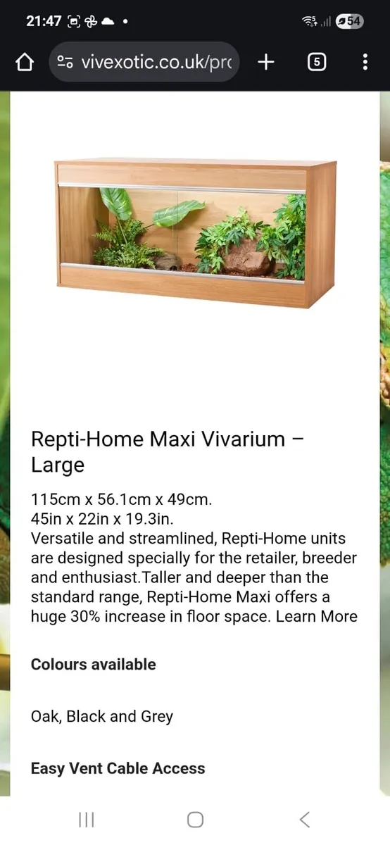 Reptile Vivarium - Image 3