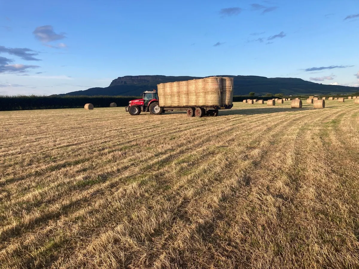 Round bales of hay for sale - Image 1