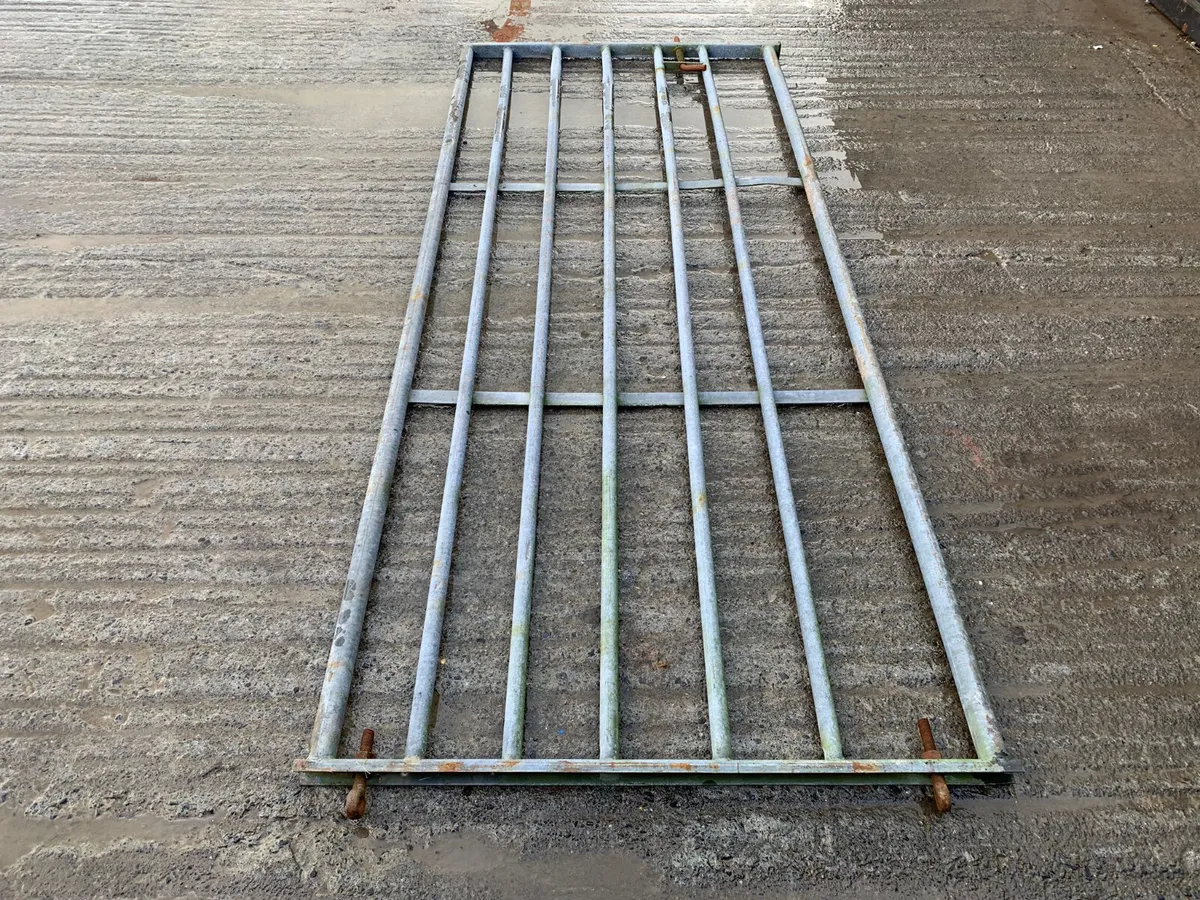 9ft x 4ft gate - Image 4