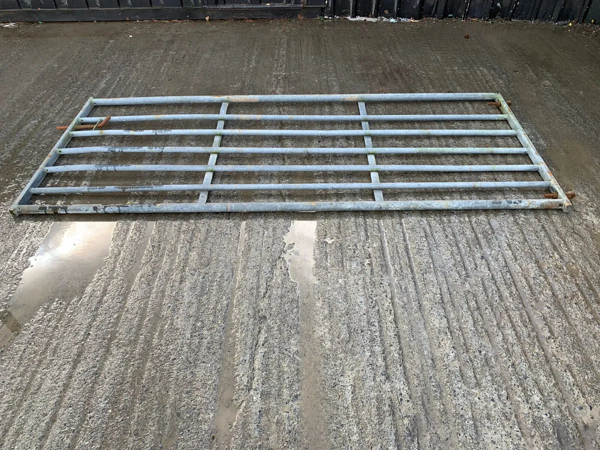 9ft x 4ft gate - Image 1
