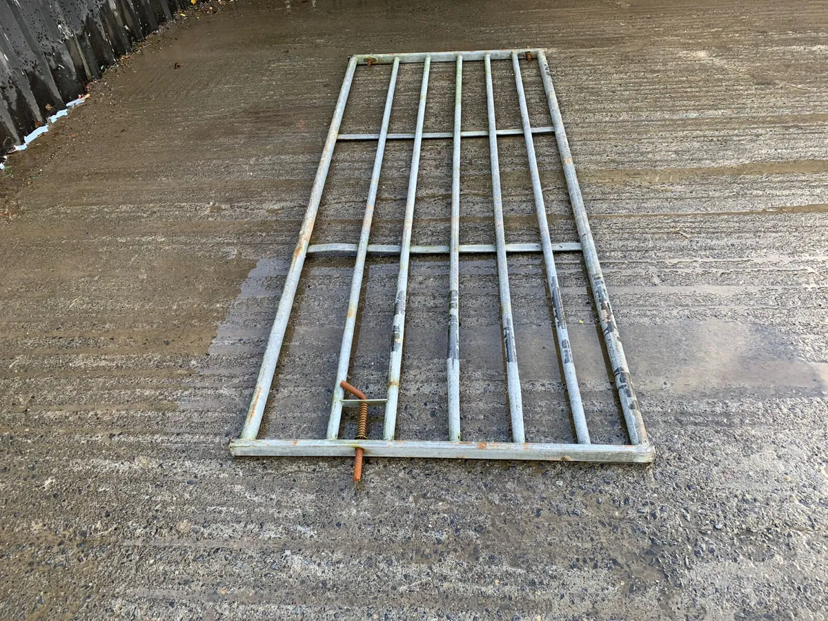 9ft x 4ft gate - Image 2
