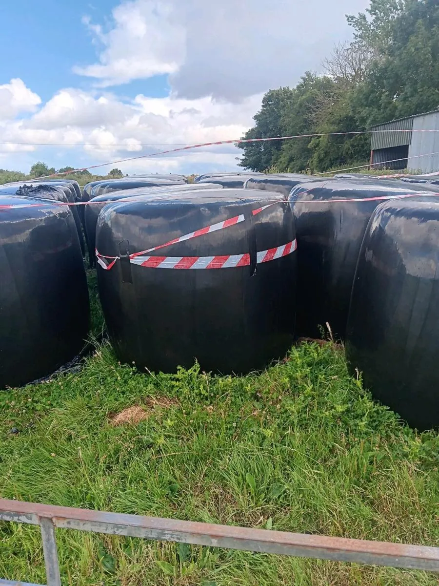 Silage Bales - Image 2