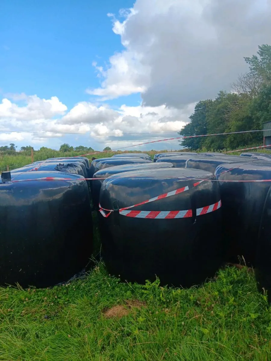 Silage Bales - Image 1