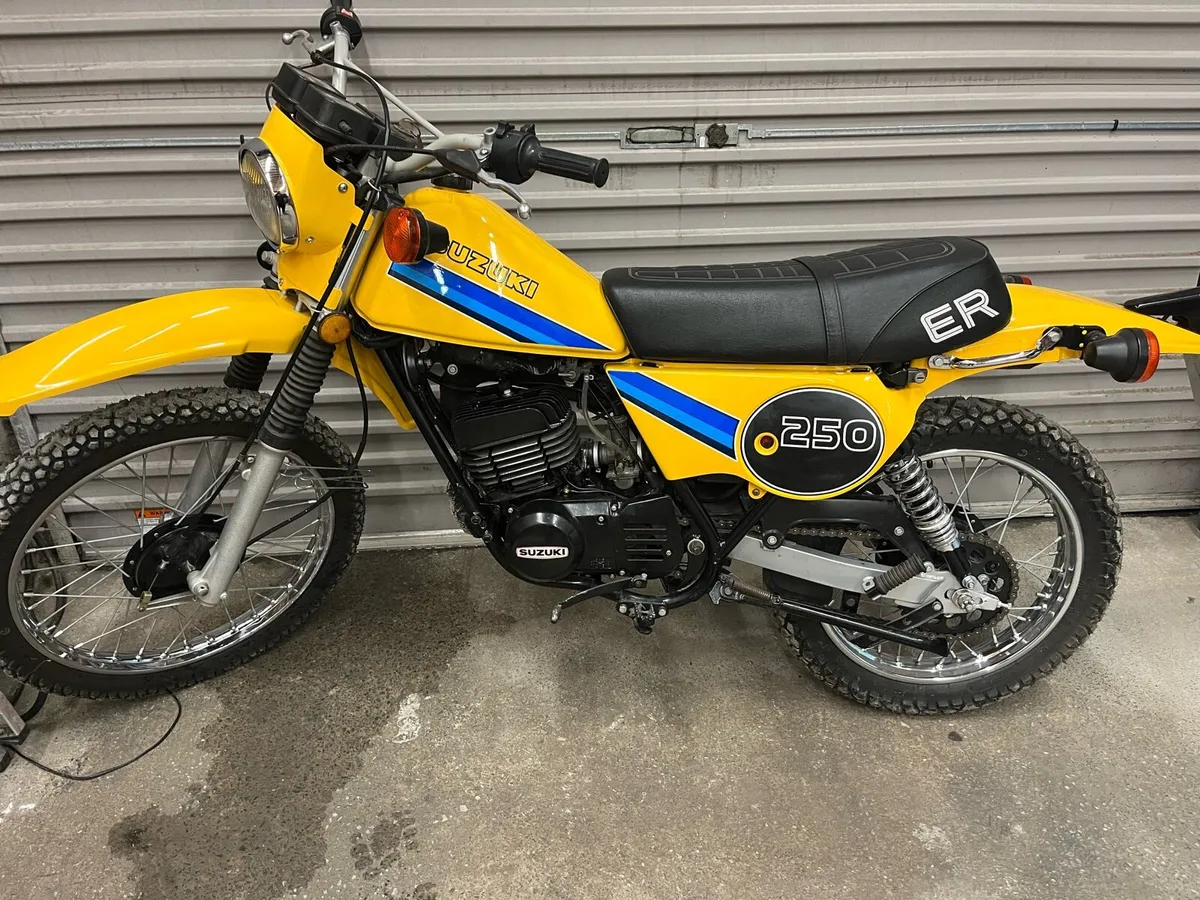 1981 suzuki ts250 er - Image 1