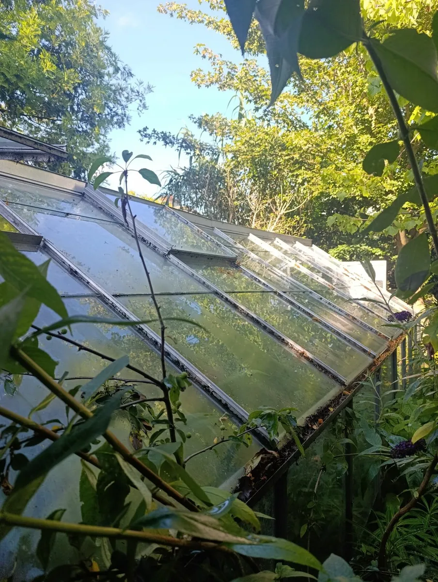 Green house - Image 2