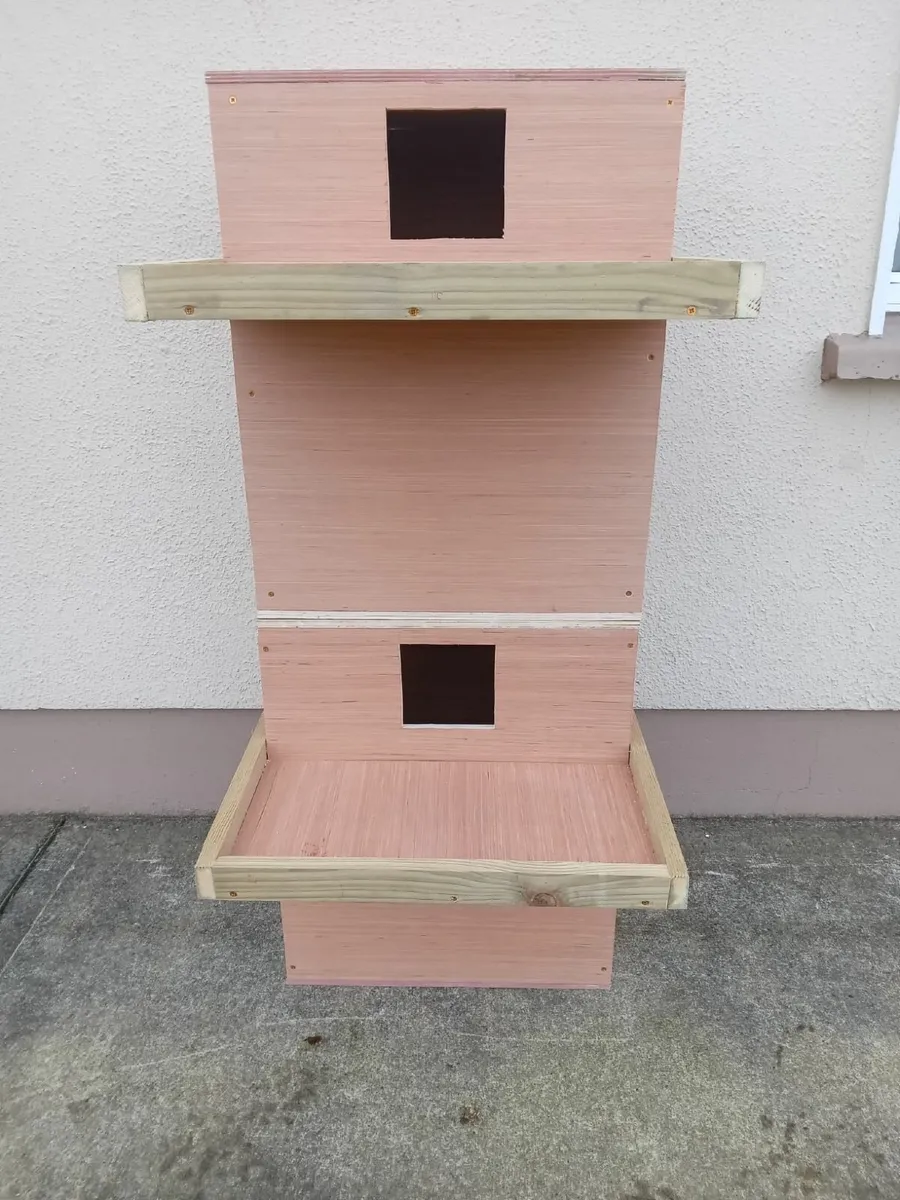 ACRES Approved Owl Boxes - 💥Nationwide Delivery💥 - Image 2