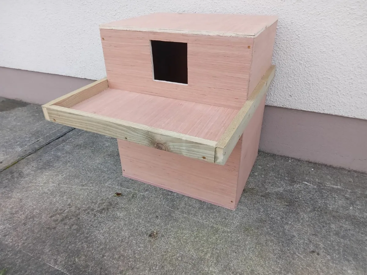 ACRES Approved Owl Boxes - 💥Nationwide Delivery💥 - Image 4