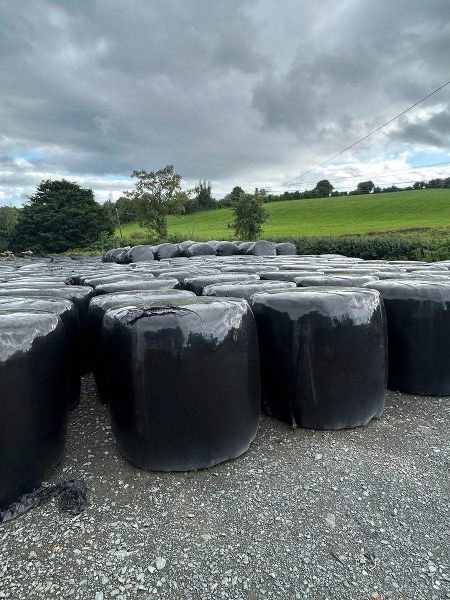 Bales