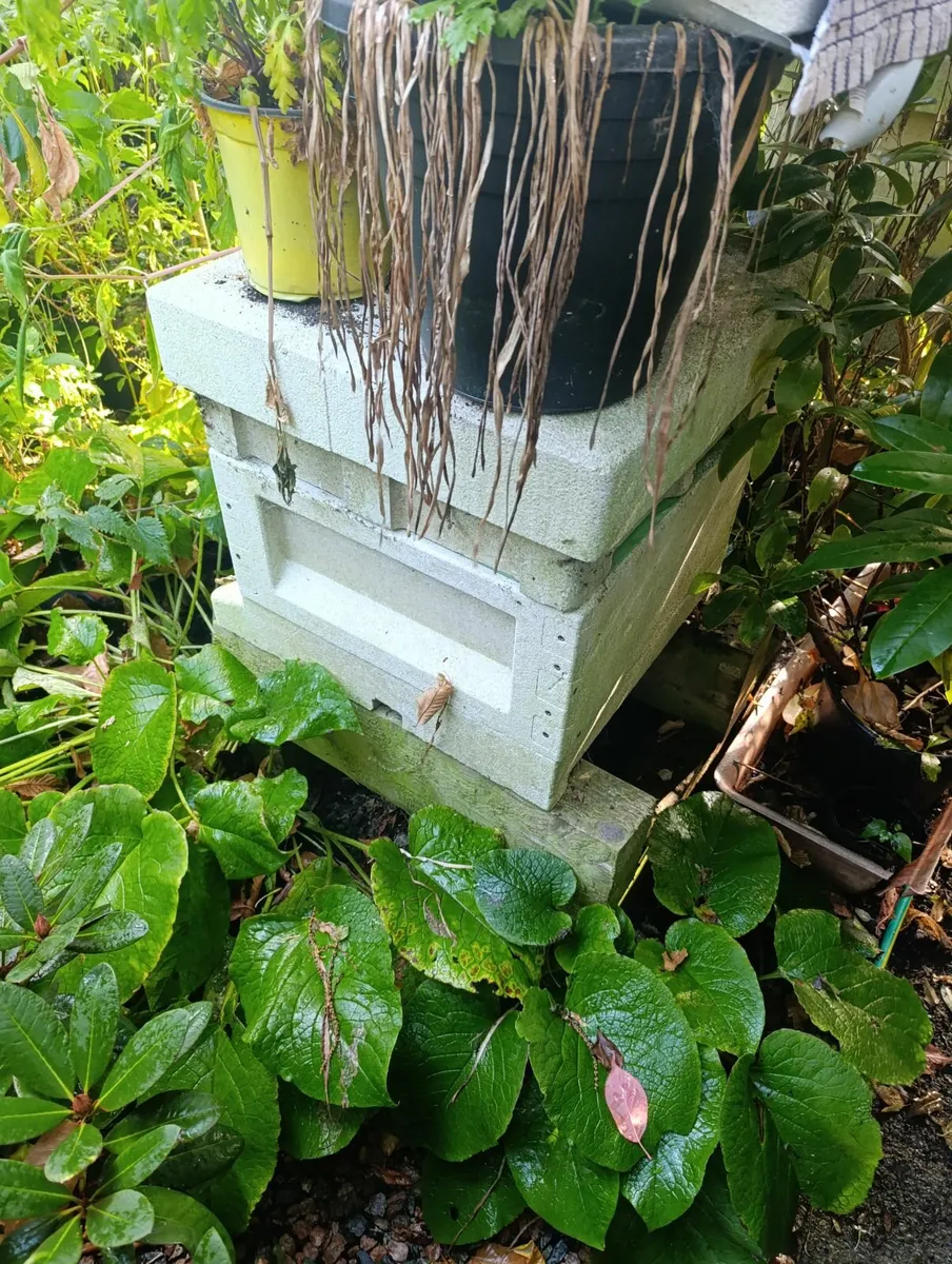 Beehives