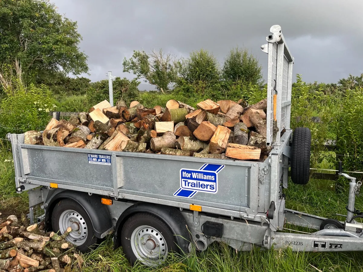 Firewood - Image 2