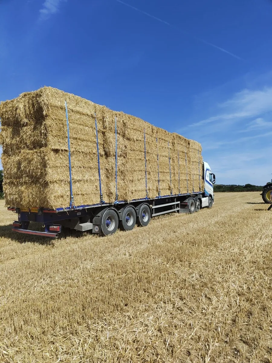 Barley straw - Image 1