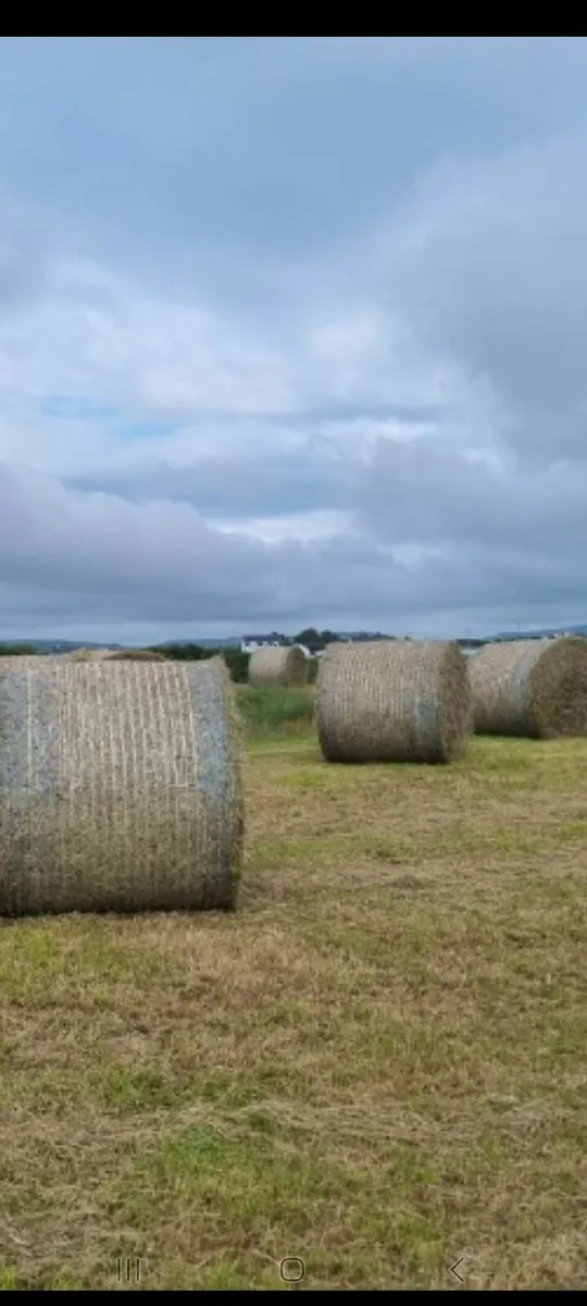 Hay for sale
