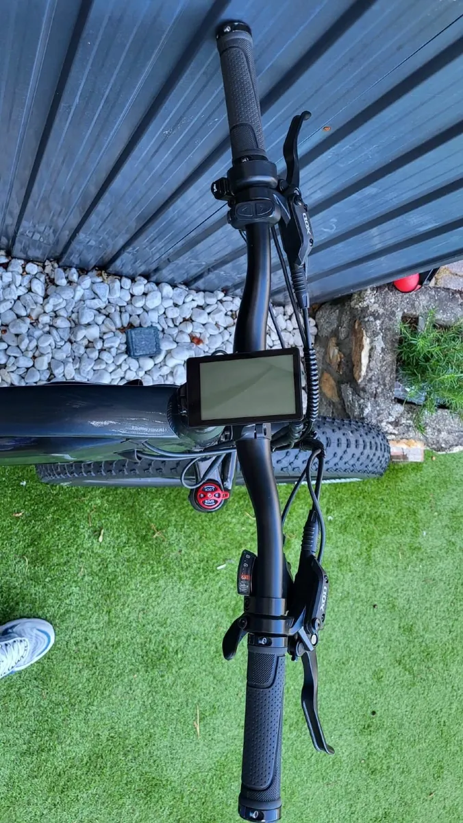 Electric Mountain Bike-  Buffalo Ape Ryder - Image 2