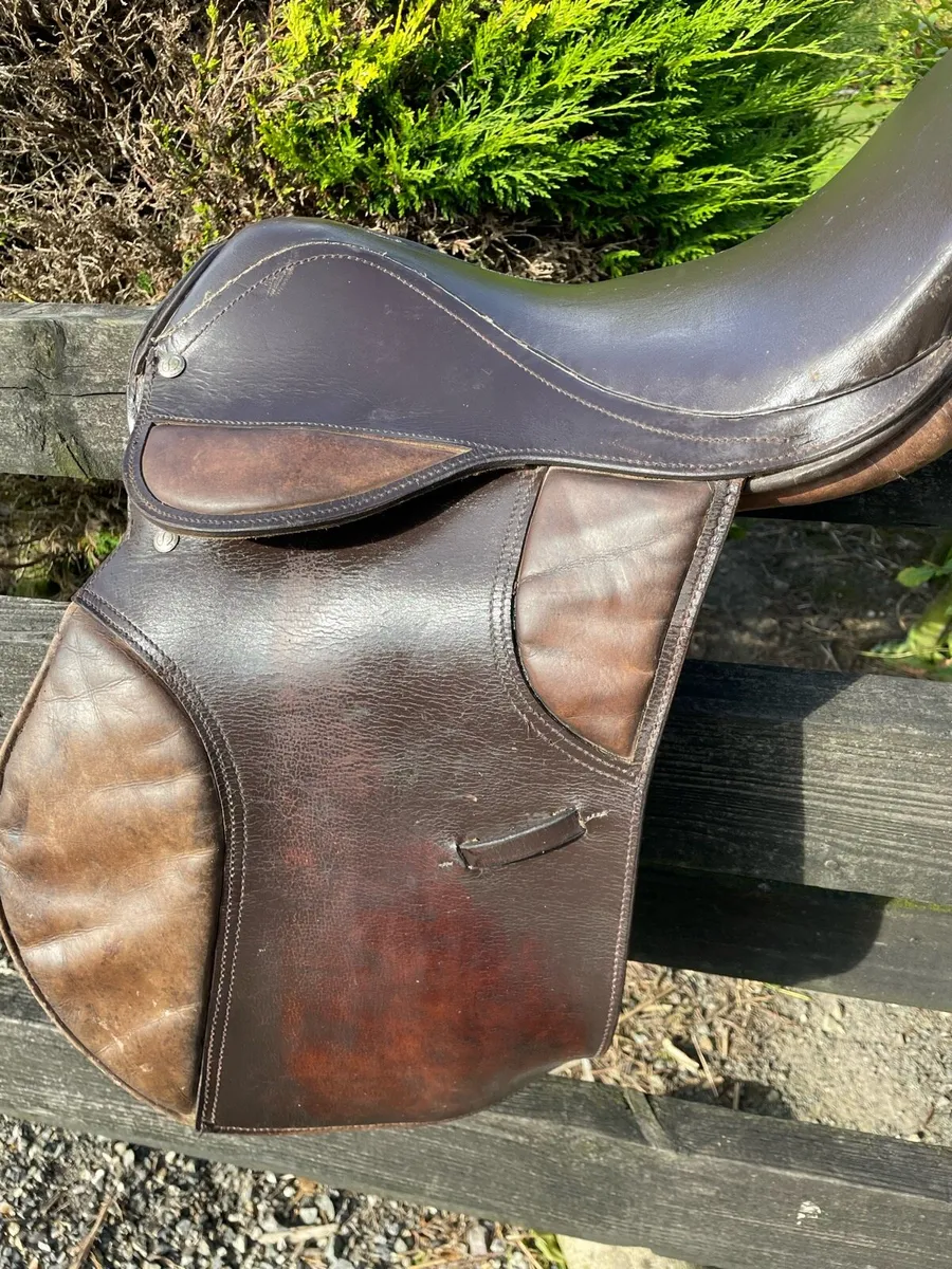 17 inch saddle and beginner back protector and hel - Image 1