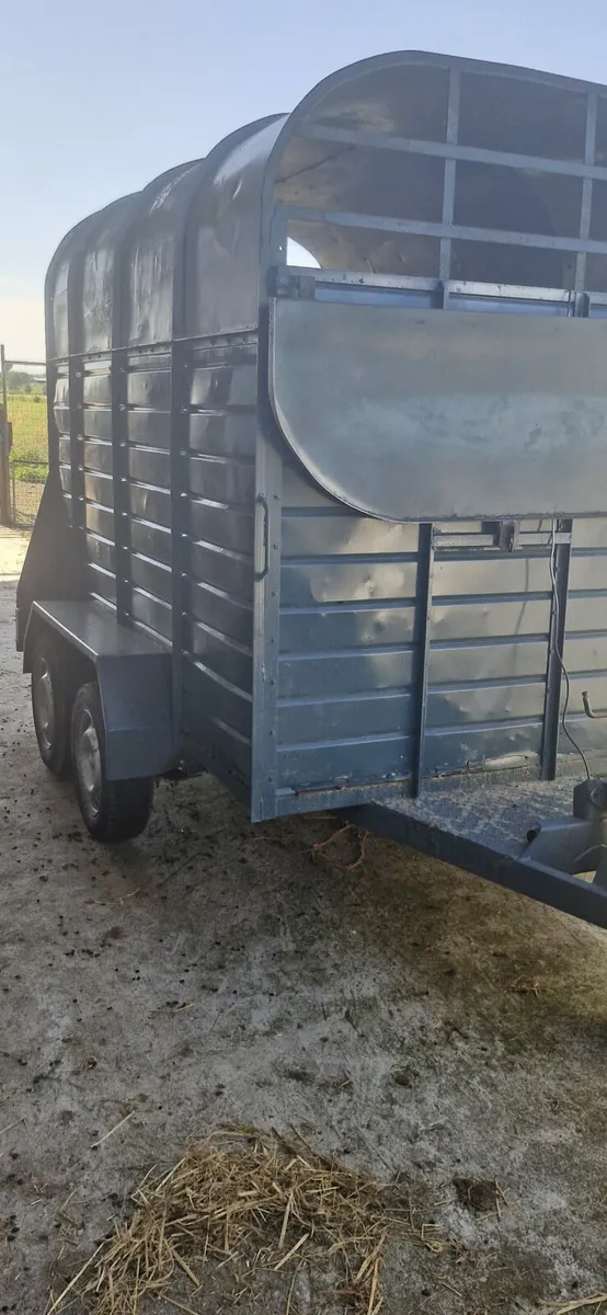 Trailer - Image 1